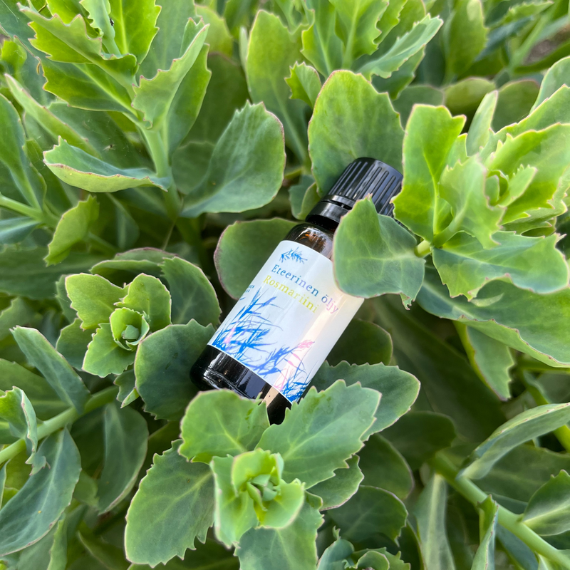 Eterisk olja Rosmarin, naturlig, 10ml