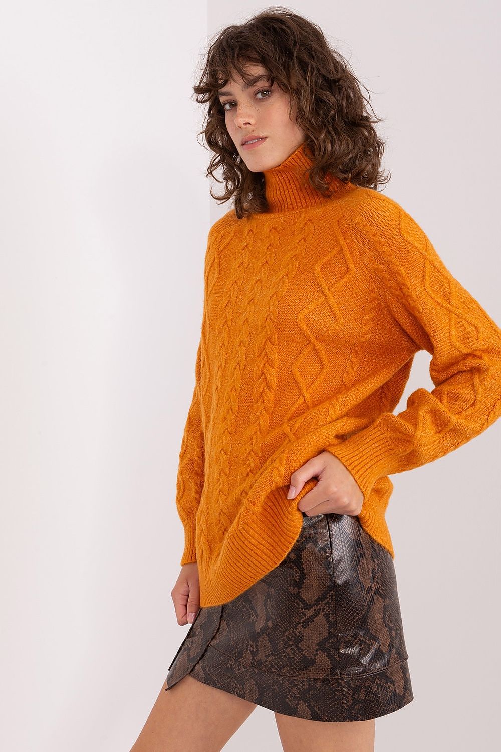  Turtleneck model 189228 AT 